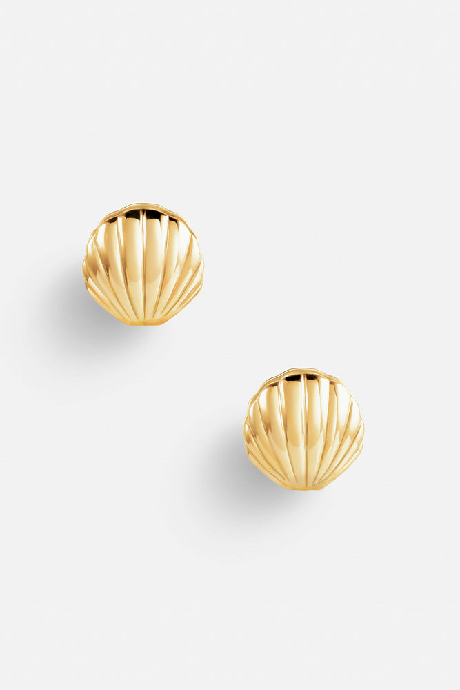 Clam Shell Stud Earrings