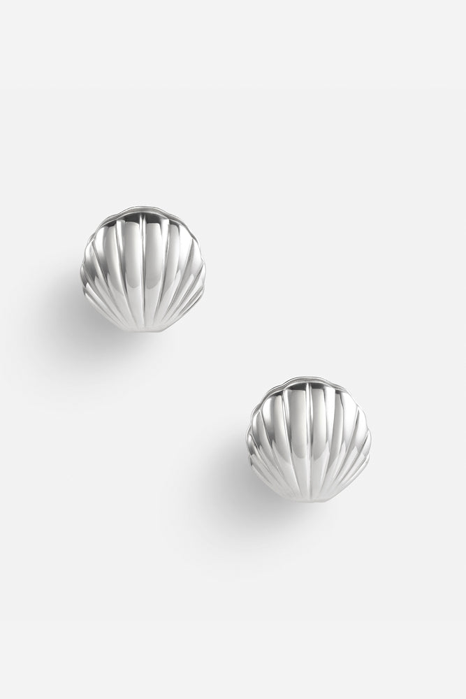 Clam Shell Stud Earrings