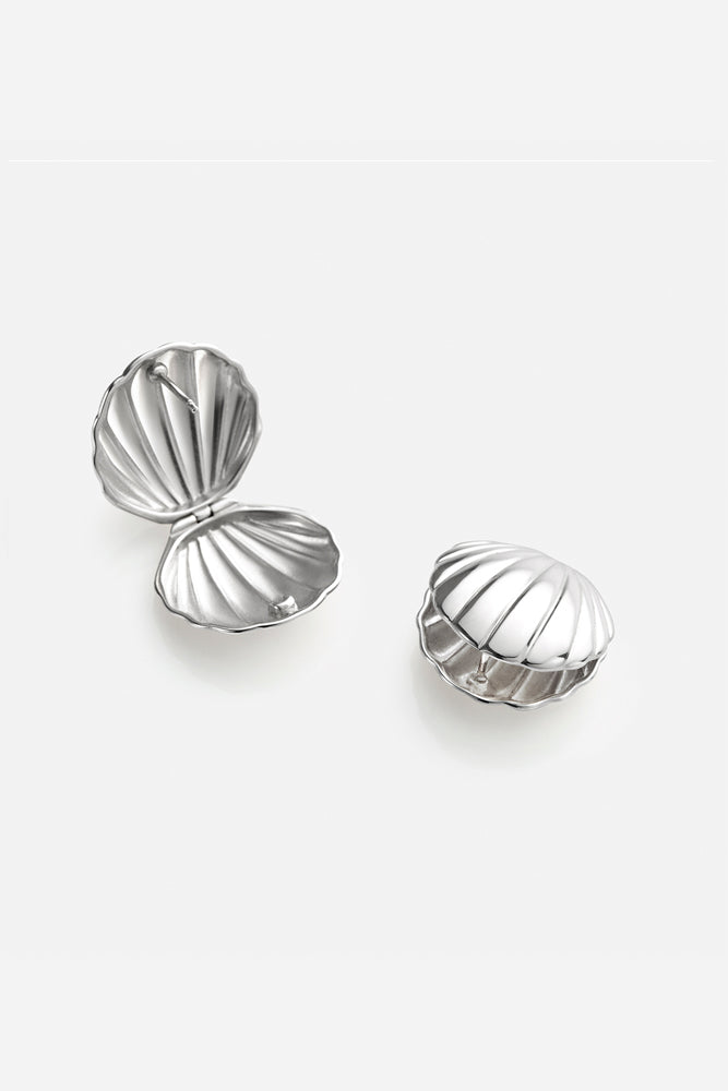 Clam Shell Stud Earrings